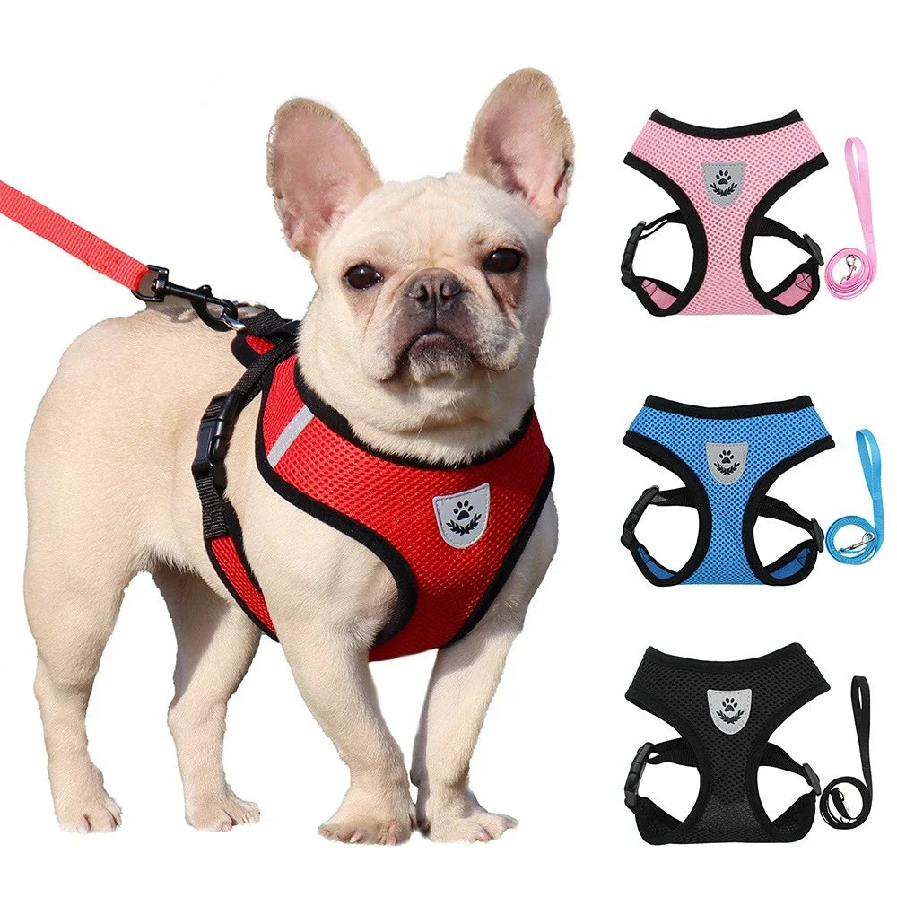 Dog Harness & Lead