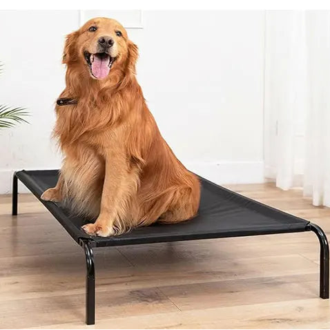 Elevated Dog Bed