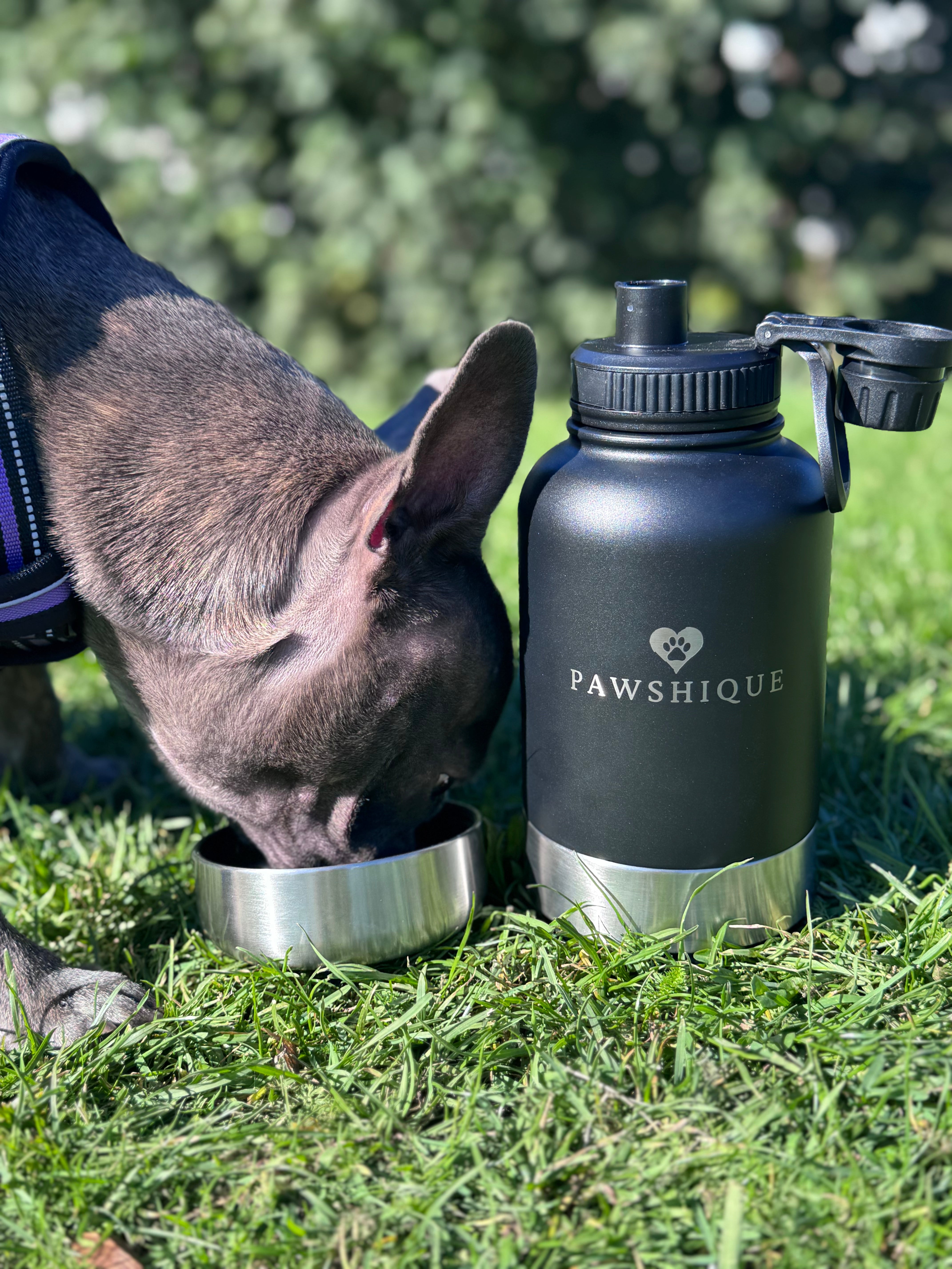 The 3in1 Pawshique Waterbottle